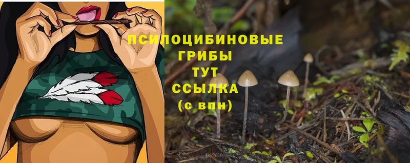 Псилоцибиновые грибы Magic Shrooms  Калининск 